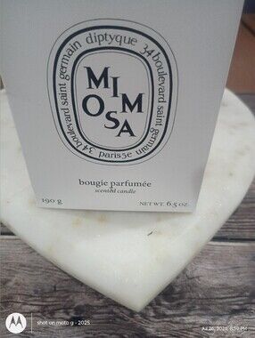 Diptyque Mimosa candle
